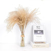 100/50 Pcs Wedding Dried Reed Bundle Pampas Grass Bouquet Flower Party Decor.