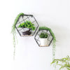 2x Hexagon Metal Wire Wall Shelf Home Decor Storage Floating Shelf w/ Wood Board