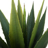 Artificial Tequila Succulent Plant 85cm Height in Pot Home Office NEW Decorative