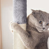 Large Cat Tree Activity Centre Multilevel Scratching Post Kitten Climbing Tower