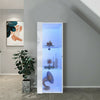 Modern High Gloss & Matt Floating Display Cabinet Wall Shelf Unit LED Lights