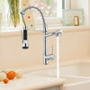 360° Swivel Pull Out Spray Taps Mixer Kitchen Sink Mixing Tap Spring Neck Chrome