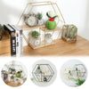 Hexagon Metal Wire Wall Shelf Loft Dorm Decor Storage Floating Shelf Display NEW