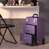 Large Makeup Trolley Case Beauty Vanity Hairdressing Box on Wheels with Drawers