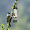 Outdoor Wild Bird Hanging Seed Feeder Peanut Feed Fat Ball Feeders Garden Birds