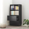 Filing Cabinet Freestanding Display Cabinet Filing Cabinet with 2 Drawer 1 Shelf