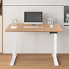 Standing Desk Electric Height Adjustable Desk 100/110/120 cm Desk Computer Desk