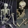 170cm Poseable Human Skeleton Skull Hanging Halloween Scary Decoration