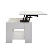 Wooden Coffee Table with Storage Lift Top Desk Living Room Furniture Tea Table