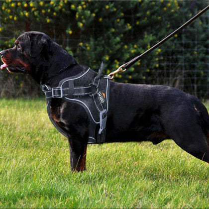 Outdoor Training Hiking Large Dog Harness Vest For Pitbull Boxer Mastiff Staff