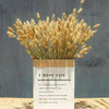 15/50PCS Natural Dried Pampas Grass Reed Rabbit Tail Grass Flower Bunch Decor UK