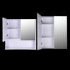 Wall Mounted Mirror Cabinet Vanity Storage Cupboard Shelf Bathroom Double Door