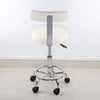 Salon Stool with Backrest Gas Lift Adjustable Swivel Barber Hairdresser Chair