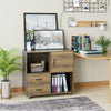 Mobile File Cabinet Lateral Filing Cabinet with 2 Drawers and Open Compartments