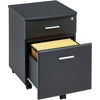 Two Drawer A4 Suspension Filing Pedestal for Home Office - Piranha Blenny PC 10g