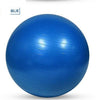 65cm Fitness Exercise Ball Yoga Gym Swiss Pregnancy Birthing Anti-Burst WithPump
