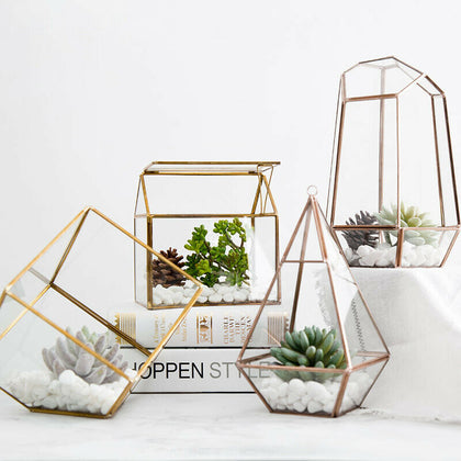 Modern Clear Glass Geometric Terrarium Tabletop Box Flower Pot Planter Home