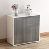 Side Cabinet with 2 Door Cabinet and 2 Drawer for Home Office Grey White