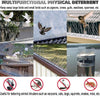 Stainless Steel Bird Control Spikes Pigeon Deterrent Window Ledge Strip Nesting