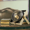 Geographic 10 Inch World Globe 720° Swivel Educational Rotating Desktop Globe
