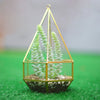 Tabletop Geometric Terrarium Glass Box Pot Plant Planter Succulent Moss Holder