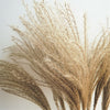 100/50 Pcs Wedding Dried Reed Bundle Pampas Grass Bouquet Flower Party Decor.