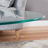 Glass Coffee Table with Storage Shelf for Living Room Oval 2-Tier Living Room BN