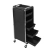 6 Layer Barber Hairdressing Beauty Salon Trolley Chrome Frame Storage Cart UK