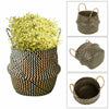 New Seagrass Belly Basket Laundry Bag Plant Pot Baskets Garden Storage Decor UK