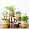 Seagrass Belly Basket Flower Plant Woven Storage Wicker Basket Pot Home Decor UK