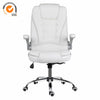 Executive Ergonomic Office Chair Computer Desk Chair Padded Armrests High Back