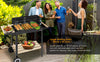 Charcoal Grill Rectangular BBQ Barbecue Steel Outdoor Patio Garden Wheels