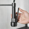 Kitchen Mixer Taps Pull Out Spray Monobloc Sink Faucet Taps Swivel Spout Black