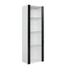 High Gloss Fronts and Matt Body Cabinet Display Sideboard Cupboard RGB LED Unit