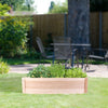 High Raised Bed Vegetable Flower Garden Planter Box Seeds Bedding Herbs 31" 42"