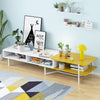 Modern Adjustable TV Stand Storage Cabinet with Shelf Living Room Space Saving
