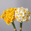 Living Room Wreath Wedding Artificial Plant Narcissus Daffodil Fake Flowers