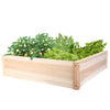 High Raised Bed Vegetable Flower Garden Planter Box Seeds Bedding Herbs 31" 42"