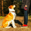 Retractable Dog Lead Training Pet Leash 8m Long Max 50kgs Extendable Head UK