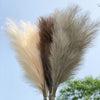 3/6X Tall Large Pampas Grass Non shedding Fluffy Reed Bunch Artificial Pompas