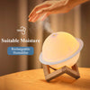 Ball Shape Modern Home Resin Decorative Night Light Humidifier LED Discoloration