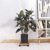 2PCS 11.8" Wood Slatted Plant Caddy Cart Wheeled Pot Stand Flower Rollers Risers