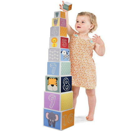 Baby Large Nesting & Stacking Blocks Cubes Set Numbers, Animals, Shapes & Colors