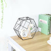 2x Hexagon Metal Wire Wall Shelf Home Decor Storage Floating Shelf w/ Wood Board