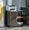 Industrial Office Cabinet Metal Filling Unit Storage Desk Wheels Printer Stand