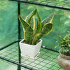 Garden Greenhouse Reinforced Frame PE Cover Outdoor Plants Grow House w/ Shelves