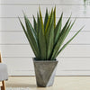 Artificial Tequila Succulent Plant 85cm Height in Pot Home Office NEW Decorative