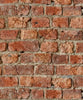 Arthouse Urban Brick Wallpaper Stone Realistic Wall 3D Effect 696600 Red (Wallpaper Roll 10M)