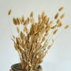 15/50PCS Artificial Dried Pampas Grass Reed Rabbit Tail Grass Flower Bunch Decor