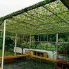 2M X 3M Army Camouflage Net Camo Netting Camping Shooting Hunting Hide Woodland